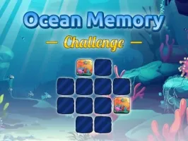 Ocean Memory Challenge