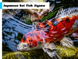 Japanese Koi Fish Jigsaw