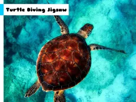 Turtle Diving Jigsaw