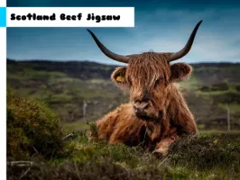 Scotland Beef Jigsaw