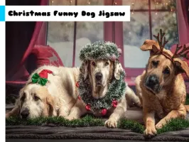 Christmas Funny Dog Jigsaw