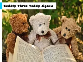 Cuddly Three Teddy Jigsaw