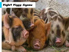 Piglet Piggy Jigsaw