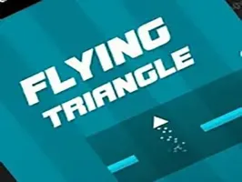 Flying Triangle 2021