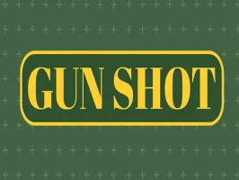 Gun Shoot HD