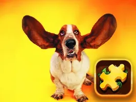 Funny Dogs Puzzle