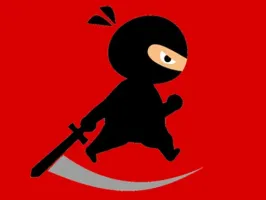 Mr Ninja Fighter