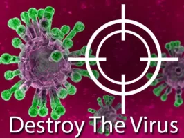 Destroy The Virus