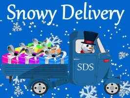 Snowy Delivery