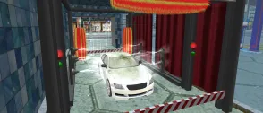 Sports Car Wash