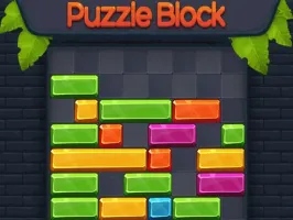 Puzzle Block