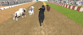 Angry Bull Racing