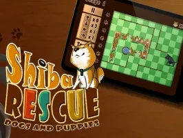 Shiba Rescue Dogs and Puppies