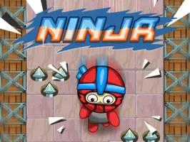 Ninja