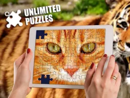 Unlimited Puzzles