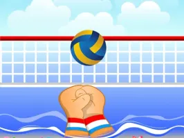 Volley ball