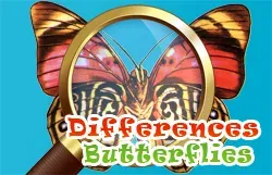 Differences Butterflies